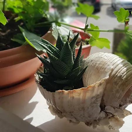 Apartman Symphony With Balcony Split