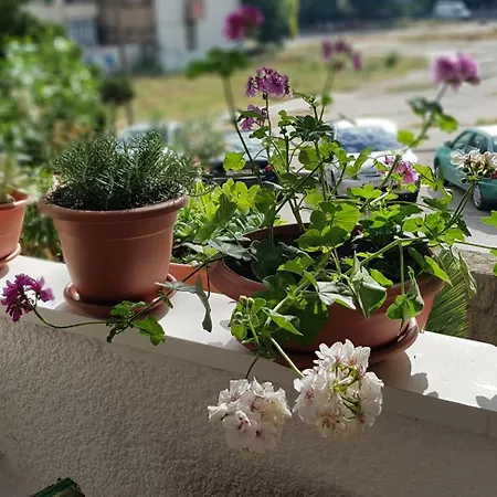 Symphony With Balcony Апартаменты Сплит