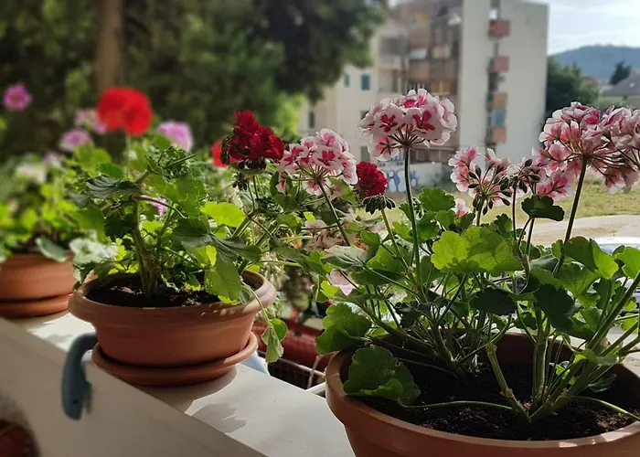 Symphony With Balcony
