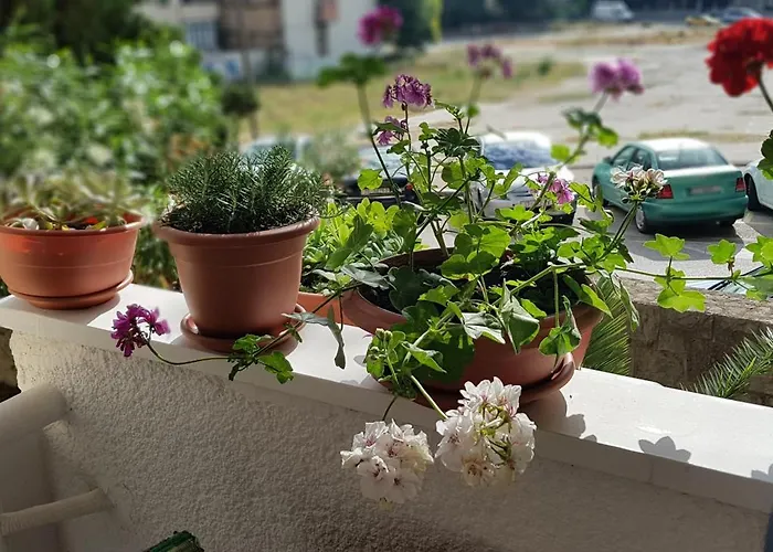 Symphony With Balcony Апартаменты Сплит
