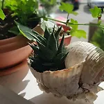 Apartamento Symphony With Balcony Split